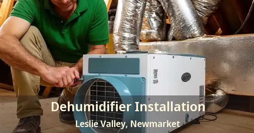 Dehumidifier Installation Leslie Valley, Newmarket - ON