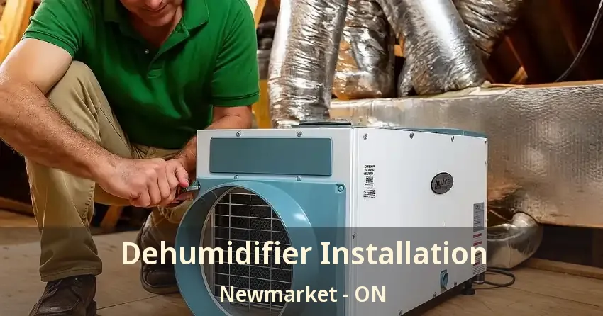 Dehumidifier Installation Newmarket - ON