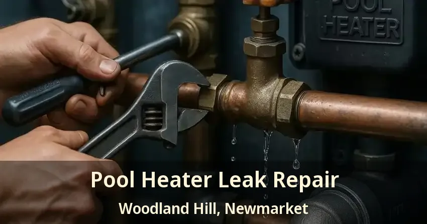 Pool Heater Leak Repair Woodland Hill, Newmarket - ON